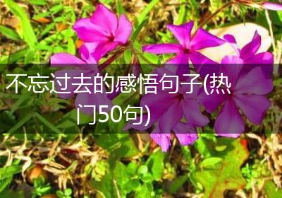 不忘过去的感悟句子(热门50句)