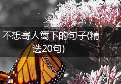 不想寄人篱下的句子(精选20句)