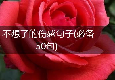 不想了的伤感句子(必备50句)