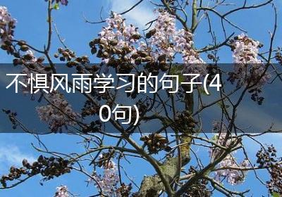 不惧风雨学习的句子(40句)
