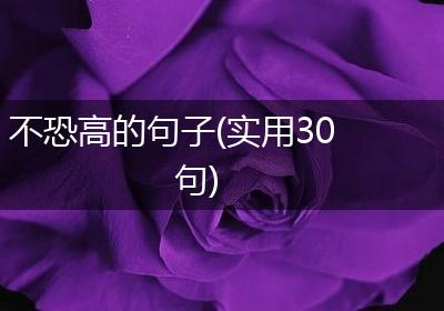 不恐高的句子(实用30句)
