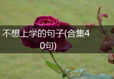 不想上学的句子(合集40句)
