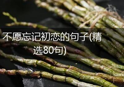 不愿忘记初恋的句子(精选80句)