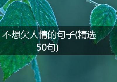 不想欠人情的句子(精选50句)