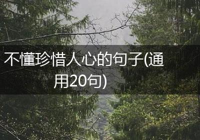 不懂珍惜人心的句子(通用20句)