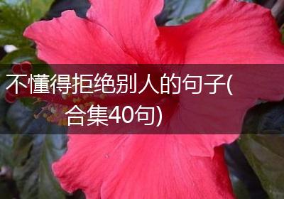 不懂得拒绝别人的句子(合集40句)