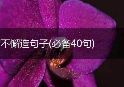 不懈造句子(必备40句)