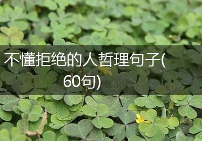 不懂拒绝的人哲理句子(60句)