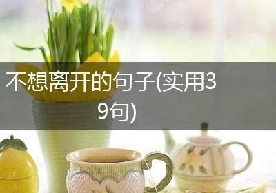 不想离开的句子(实用39句)