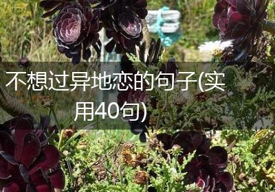 不想过异地恋的句子(实用40句)