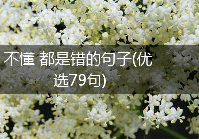 不懂 都是错的句子(优选79句)