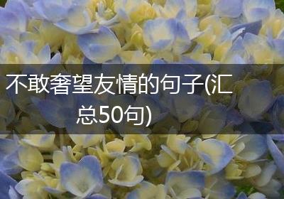 不敢奢望友情的句子(汇总50句)