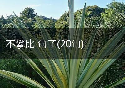 不攀比 句子(20句)