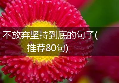 不放弃坚持到底的句子(推荐80句)