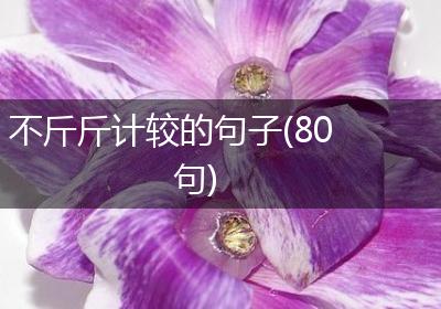 不斤斤计较的句子(80句)