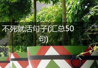 不死就活句子(汇总50句)