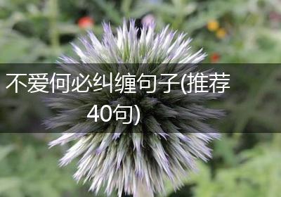 不爱何必纠缠句子(推荐40句)