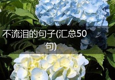 不流泪的句子(汇总50句)