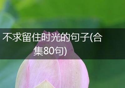 不求留住时光的句子(合集80句)