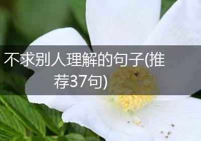 不求别人理解的句子(推荐37句)