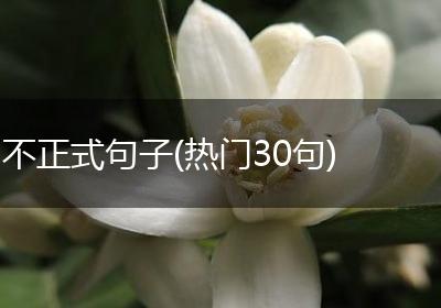 不正式句子(热门30句)