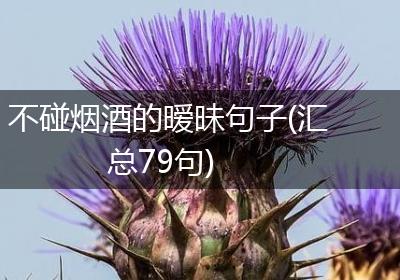 不碰烟酒的暧昧句子(汇总79句)