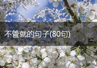不管就的句子(80句)