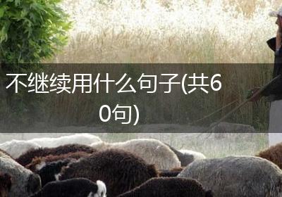不继续用什么句子(共60句)