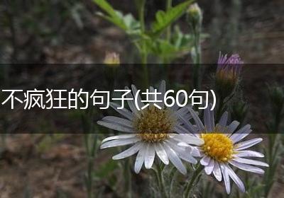 不疯狂的句子(共60句)