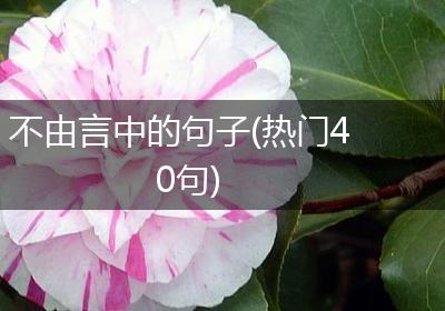 不由言中的句子(热门40句)
