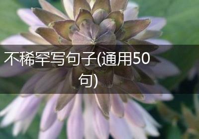 不稀罕写句子(通用50句)