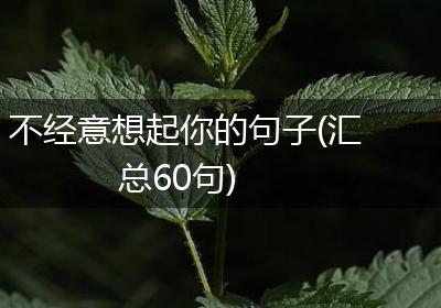 不经意想起你的句子(汇总60句)