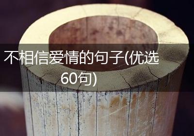 不相信爱情的句子(优选60句)