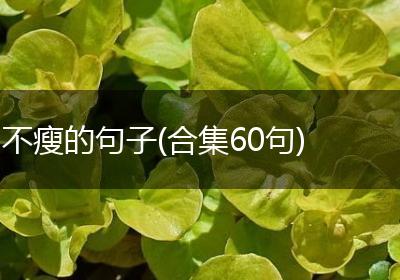 不瘦的句子(合集60句)