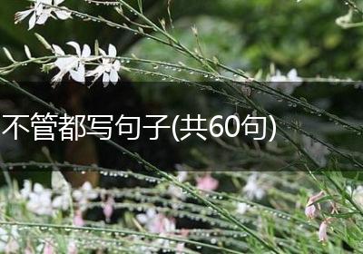 不管都写句子(共60句)