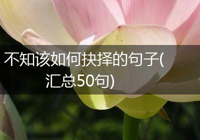 不知该如何抉择的句子(汇总50句)