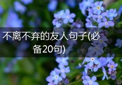 不离不弃的友人句子(必备20句)