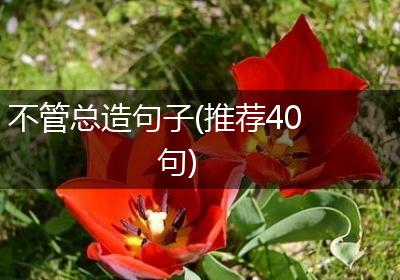 不管总造句子(推荐40句)