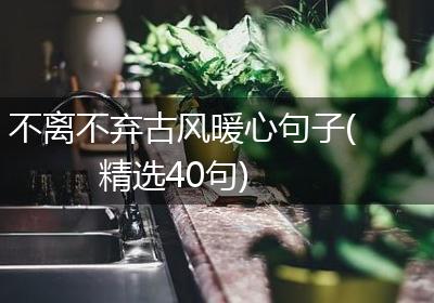 不离不弃古风暖心句子(精选40句)