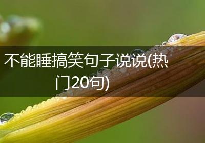 不能睡搞笑句子说说(热门20句)