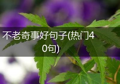 不老奇事好句子(热门40句)