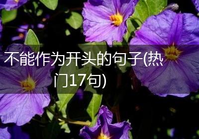 不能作为开头的句子(热门17句)