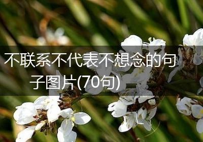 不联系不代表不想念的句子图片(70句)