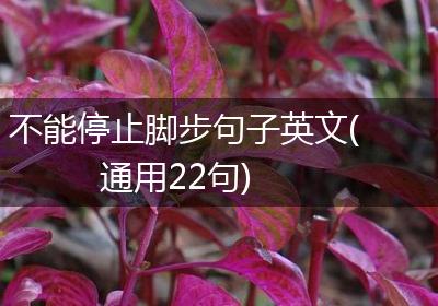 不能停止脚步句子英文(通用22句)