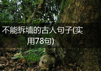 不能拆墙的古人句子(实用78句)
