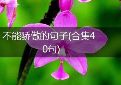 不能骄傲的句子(合集40句)