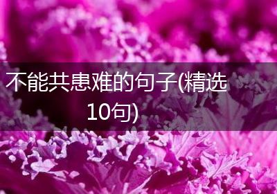 不能共患难的句子(精选10句)