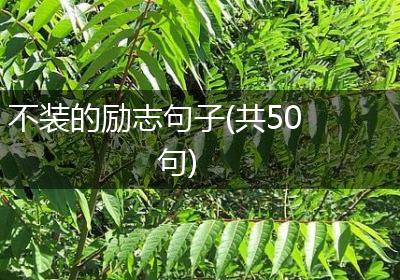 不装的励志句子(共50句)