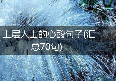 上层人士的心酸句子(汇总70句)