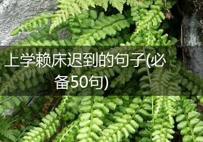 上学赖床迟到的句子(必备50句)